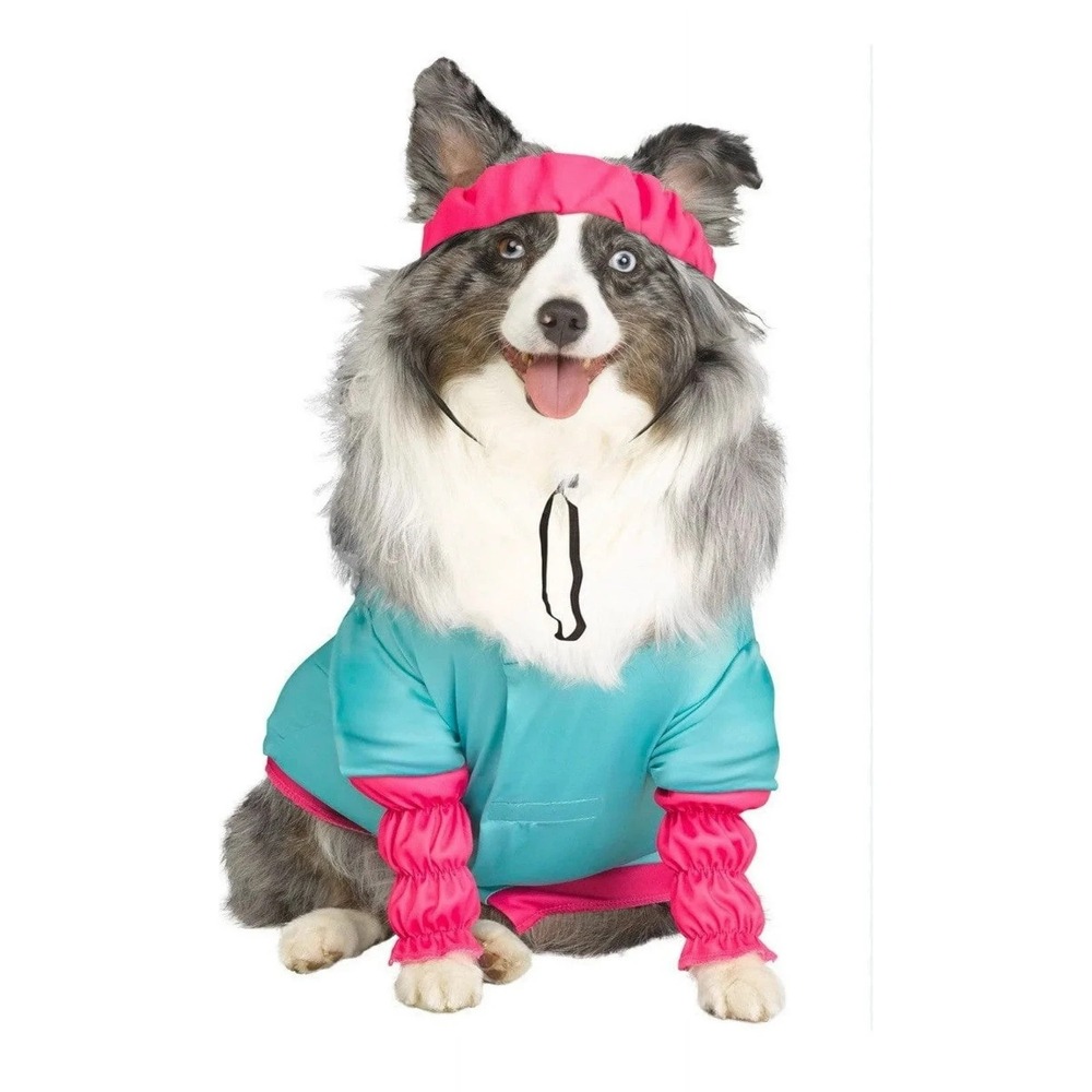 Barbie Aerobics Dog Halloween Costume Blue‎ Pink Shirt Leg Warmers XS 6 -10 lbs - Picture 2 of 5